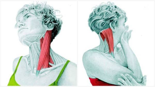 درمان سردرد و میگرنتمرین کششی عضله بازکننده گردن برای 